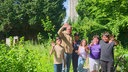 Summend in den Sommer - Teil 4