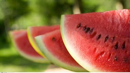 Wassermelonen