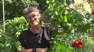Anja Klein 