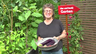 Anja Klein zeigt wie Gemüse richtig geerntet wird.