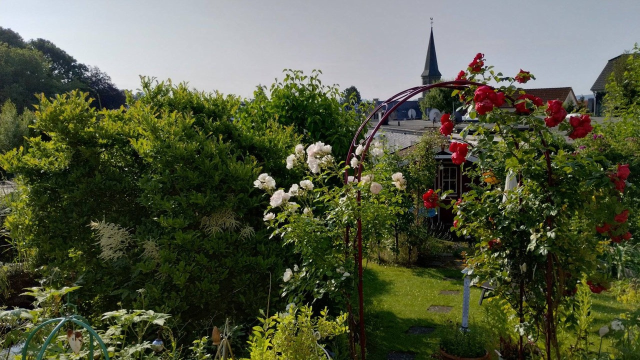Ihre schönsten Fotos vom Urlaub auf Balkonien