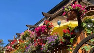  Balkon mit vielen blühenden Pflanzen