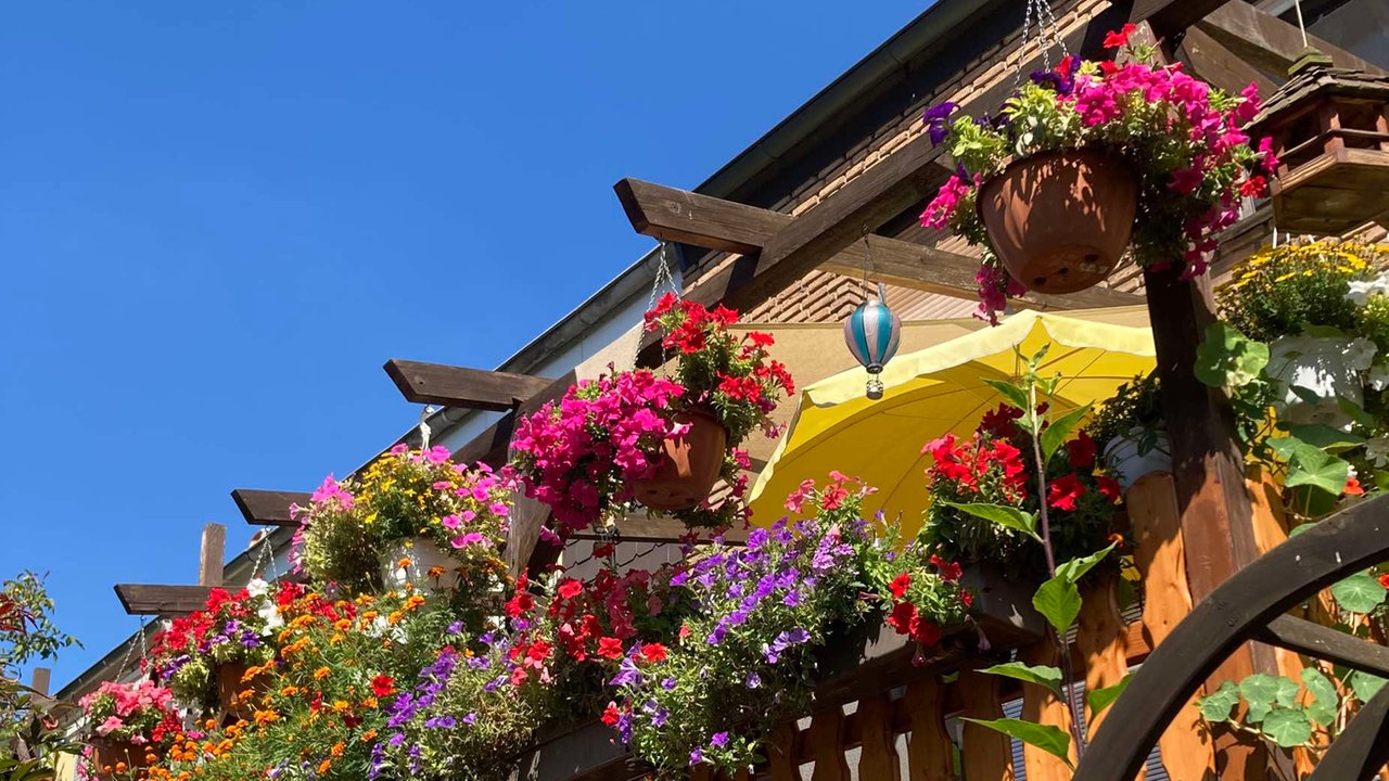  Balkon mit vielen blühenden Pflanzen