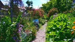 Bauerngarten