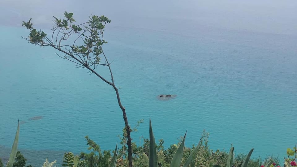 Ihre schönsten Urlaubsfotos am Meer