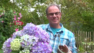 Titelbild gartentipps