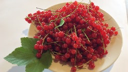 Rote Johannisbeeren