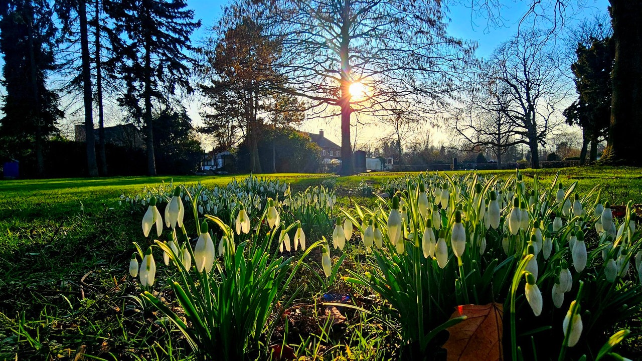 Frühlingssonne – Ihre schönsten Fotos!