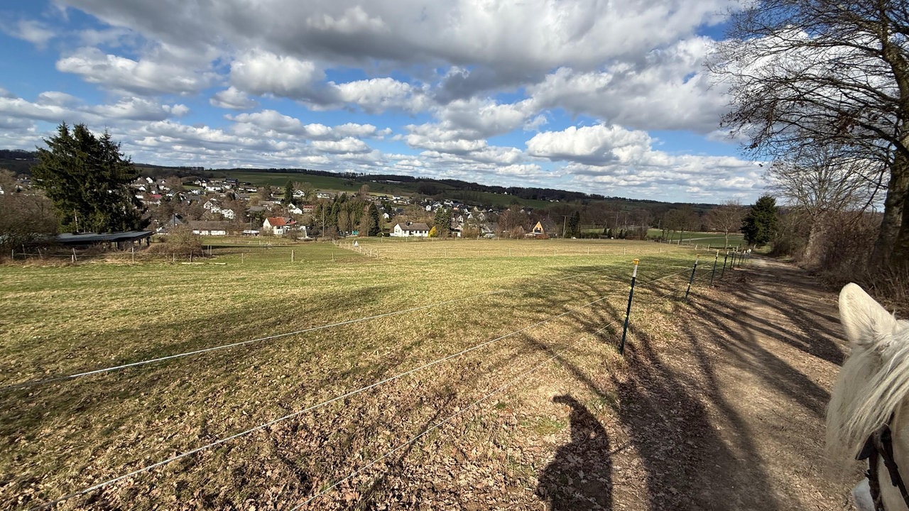 Frühlingssonne – Ihre schönsten Fotos!