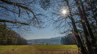 Frühlingssonne – Ihre schönsten Fotos!
