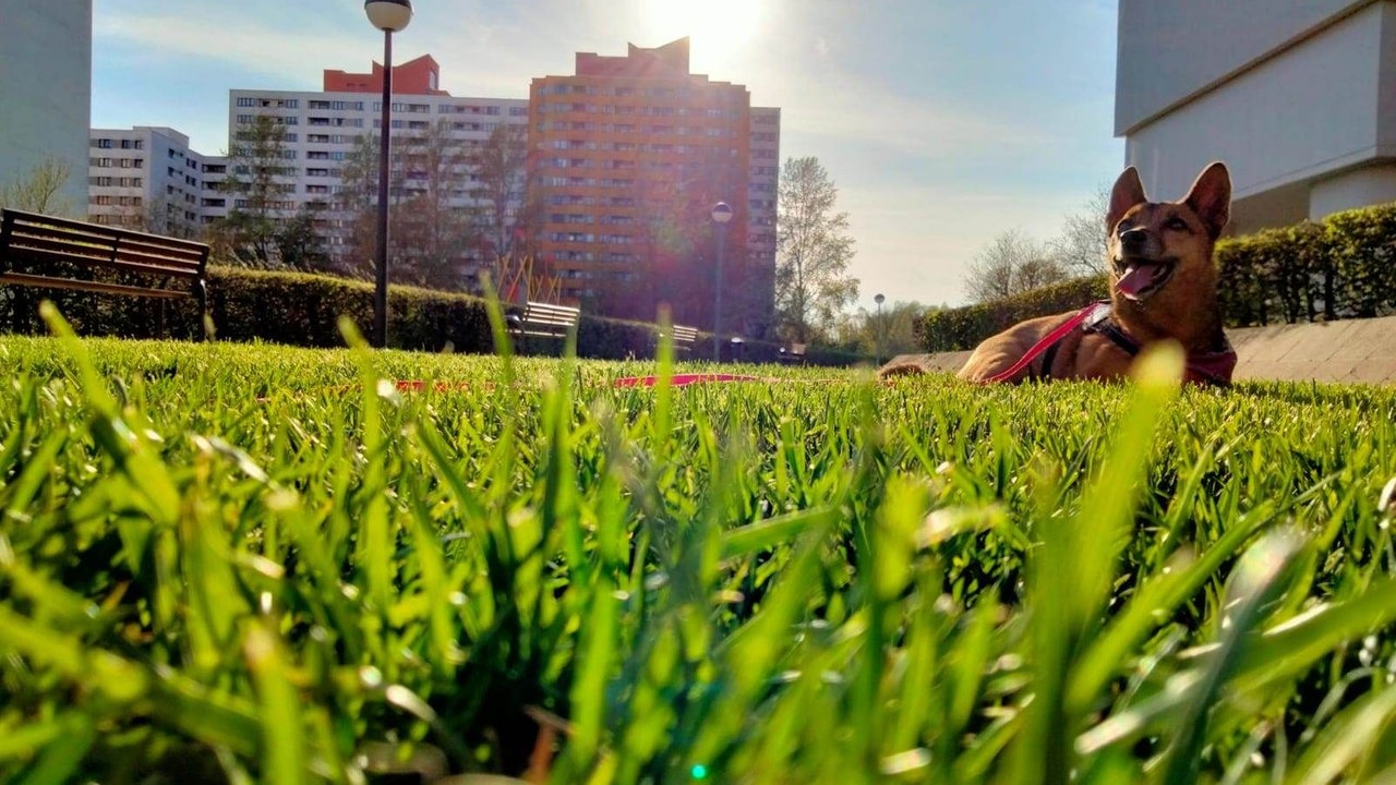 Frühlingssonne – Ihre schönsten Fotos!