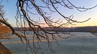Frühlingssonne – Ihre schönsten Fotos!