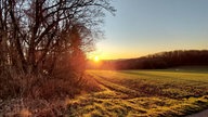 Frühlingssonne – Ihre schönsten Fotos!