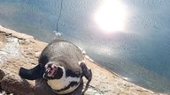 Frühlingssonne – Ihre schönsten Fotos!