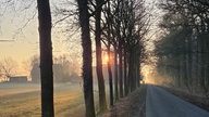 Frühlingssonne – Ihre schönsten Fotos!