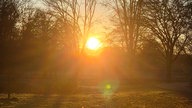 Frühlingssonne – Ihre schönsten Fotos!