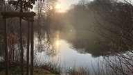 Frühlingssonne – Ihre schönsten Fotos!