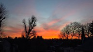 Frühlingssonne – Ihre schönsten Fotos!