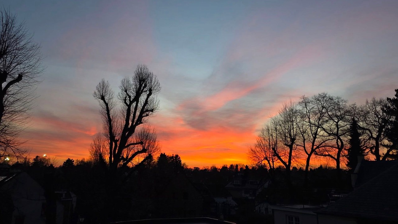 Frühlingssonne – Ihre schönsten Fotos!