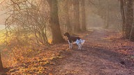 Frühlingssonne – Ihre schönsten Fotos!