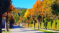Die schönsten HerbstalleenDie schönsten Herbstalleen