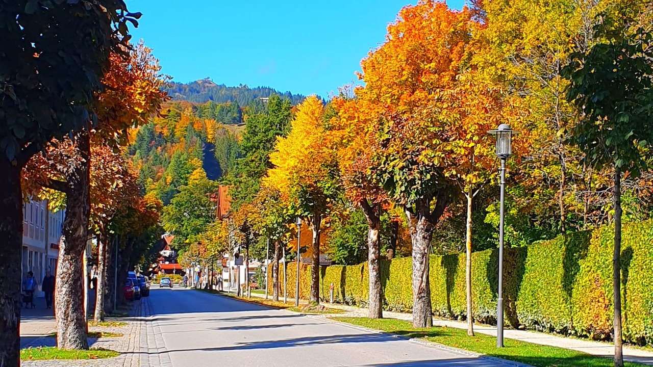 Die schönsten HerbstalleenDie schönsten Herbstalleen