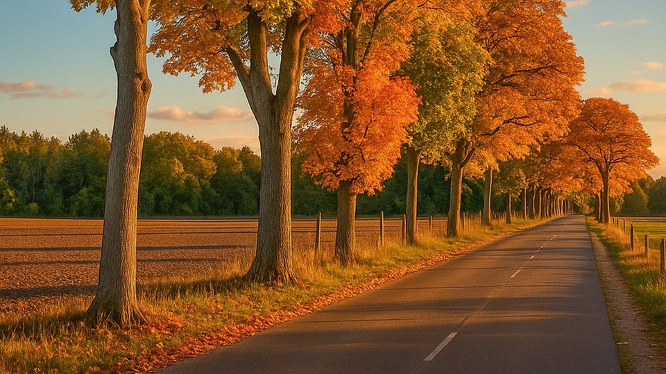 Die schönsten Herbstalleen