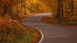 Die schönsten Herbstalleen