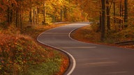 Die schönsten Herbstalleen