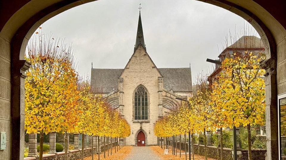 Die schönsten Herbstalleen