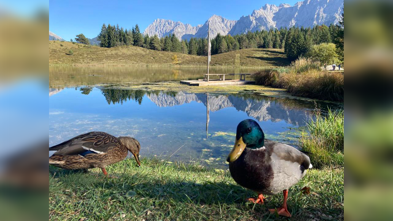 Schönste Urlaubsfotos Berge