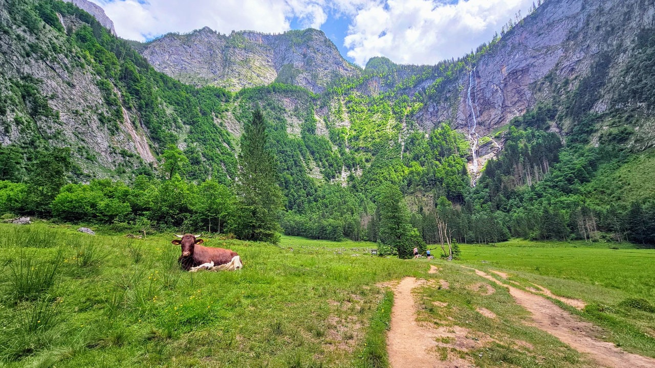 Schönste Urlaubsfotos Berge