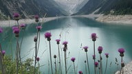 Schönste Urlaubsfotos Berge