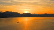 Urlaubsfoto am Wasser 