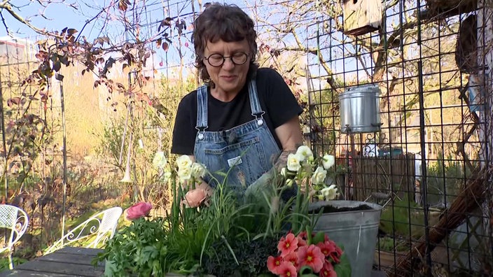 Garten unterwegs Frühblüher