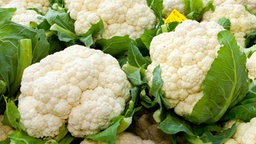 Bildfüllend aneinandergereihte weiße, reife Blumenkohlköpfe