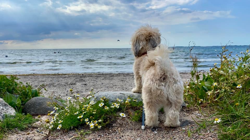 Ihre schönsten Fotos aus dem Campingurlaub!