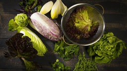 Verschiedene Salatsorten