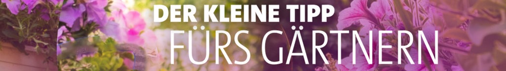 der kleine Tipp fürs Gärtnern