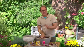 Der kleine Tipp fürs Gärtnern: Blumenzwiebeln im Spätsommer richtig pflanzen