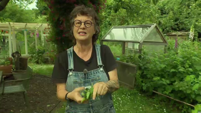 Dünger selbstmachen 