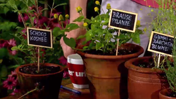 Duftende und essbare Gartenpflanzen