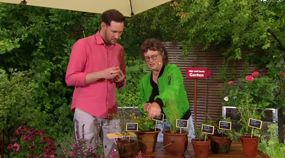 Duftende und essbare Gartenpflanzen