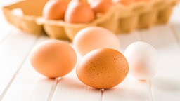 Eier