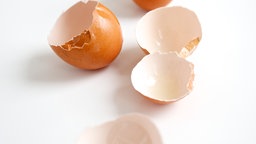 Eierschale 