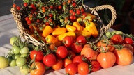 Ihre schönsten Erntefotos