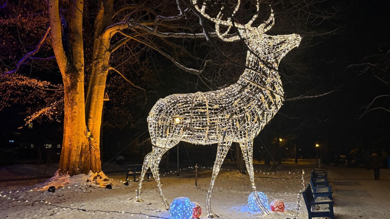 Einw festlich leuchtende Hirschskulptur in einem dünn mit Schnee bedeckten Park.