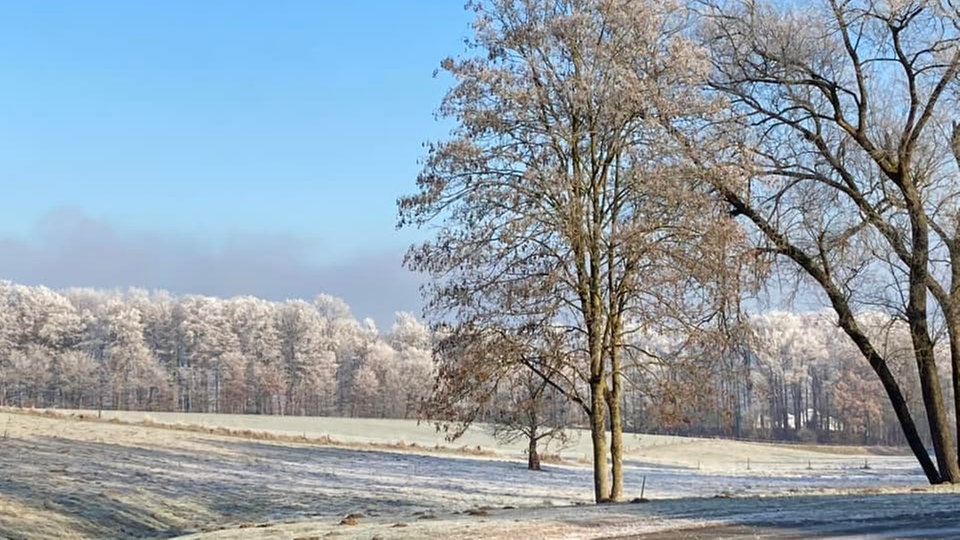Ihre schönsten Frost-Fotos