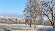 Ihre schönsten Frost-Fotos
