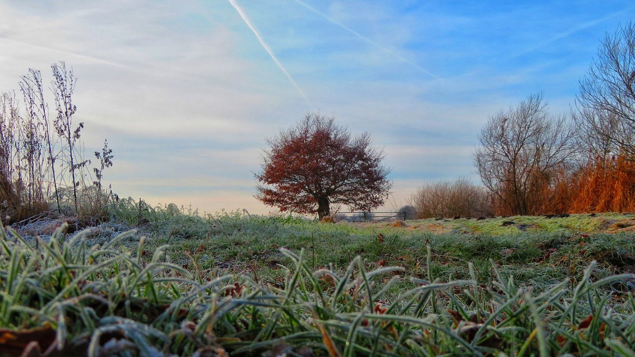 Ihre schönsten Frost-Fotos